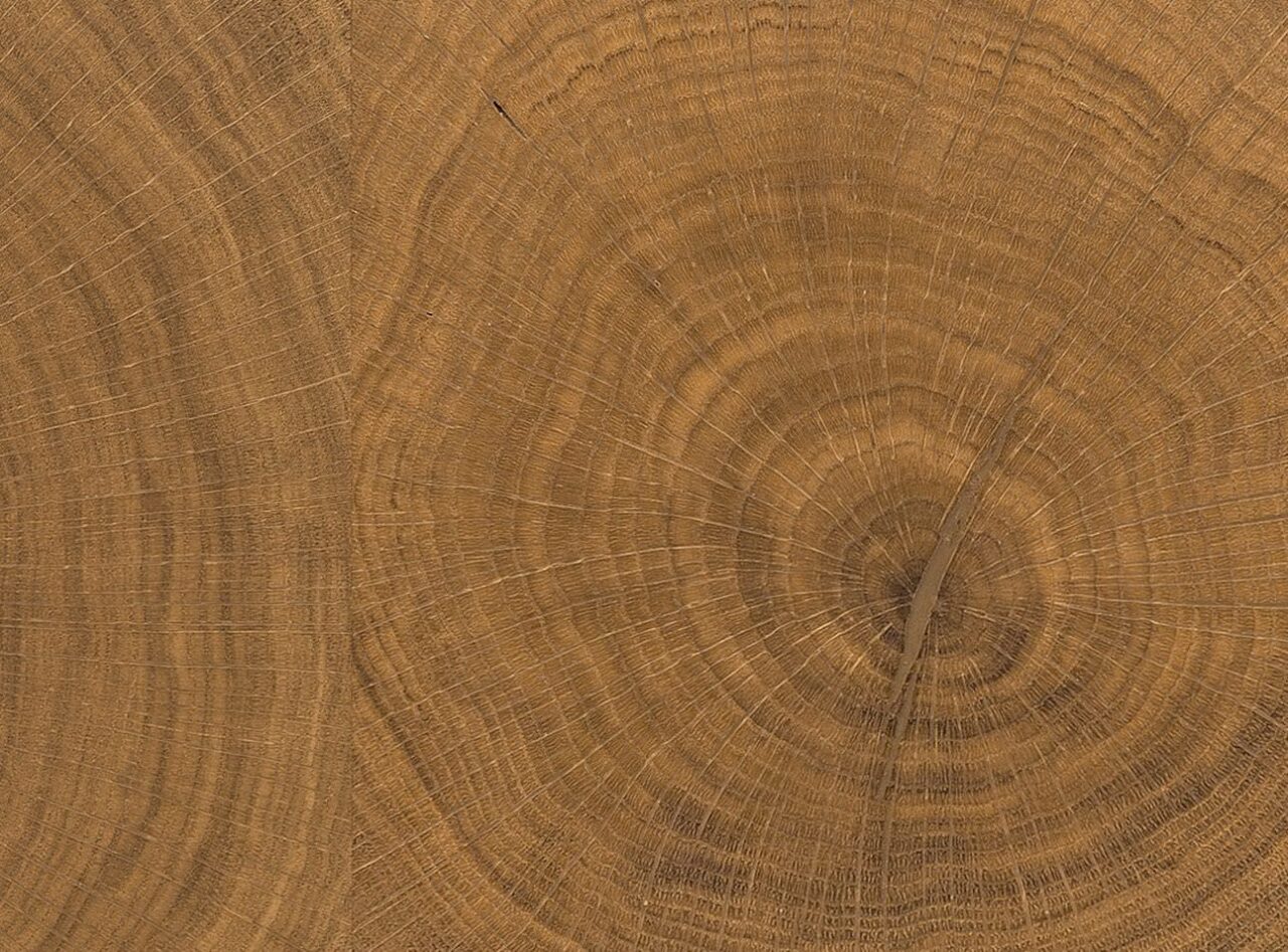 Carré Cross Grain Wood Handcrafted Timber Flooring HARO Flooring NZ