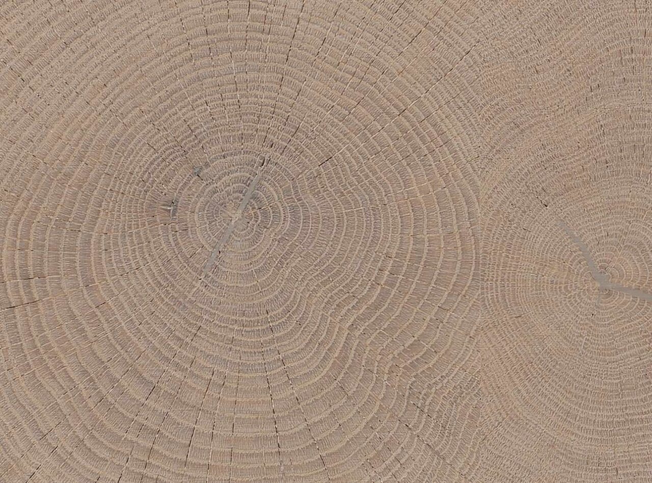 Carré Cross Grain Wood Handcrafted Timber Flooring HARO Flooring NZ